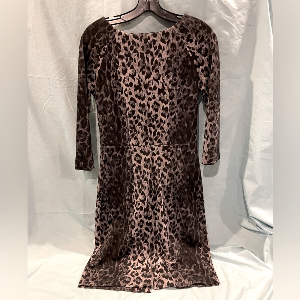 The Limited dress